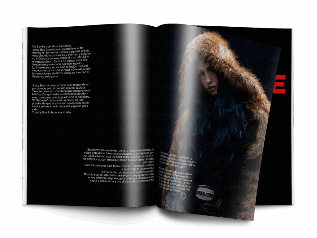 revistapng